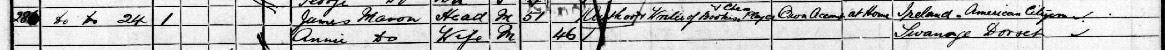 1901-census-mason.jpg
