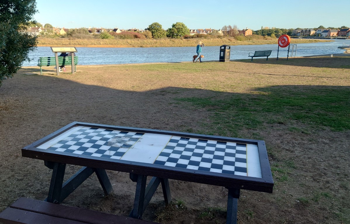 RowehedgeTable.JPG