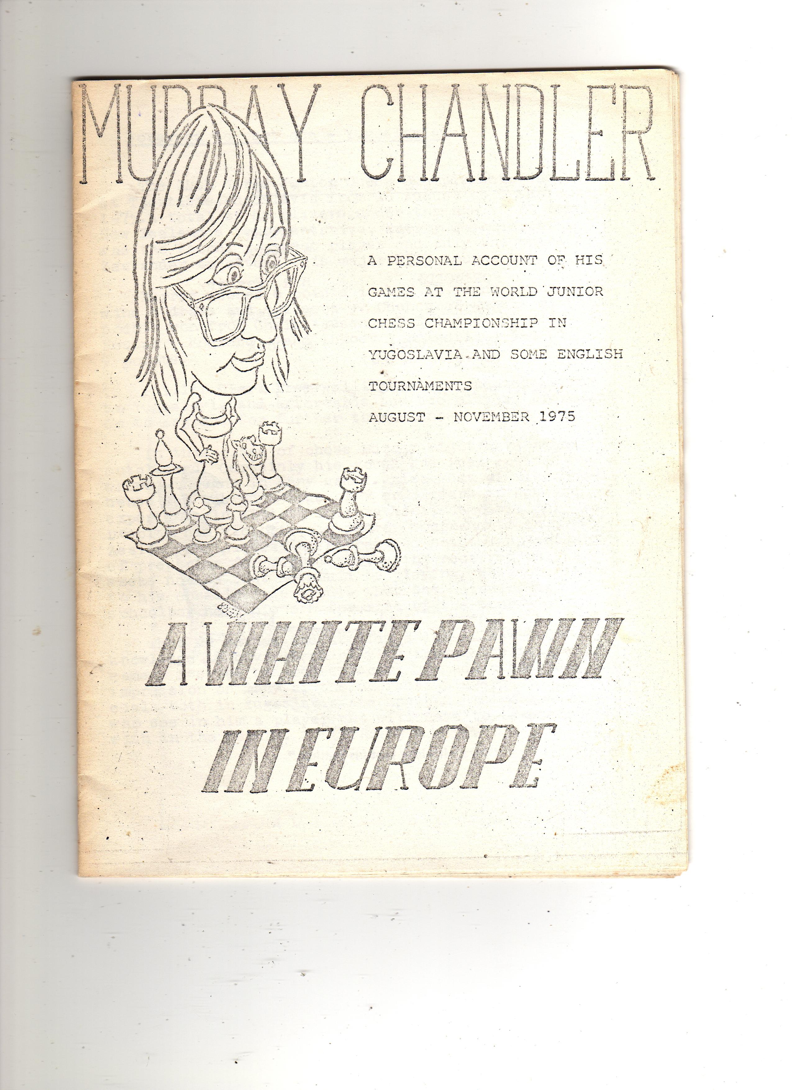 white pawn in europe001_small.jpg